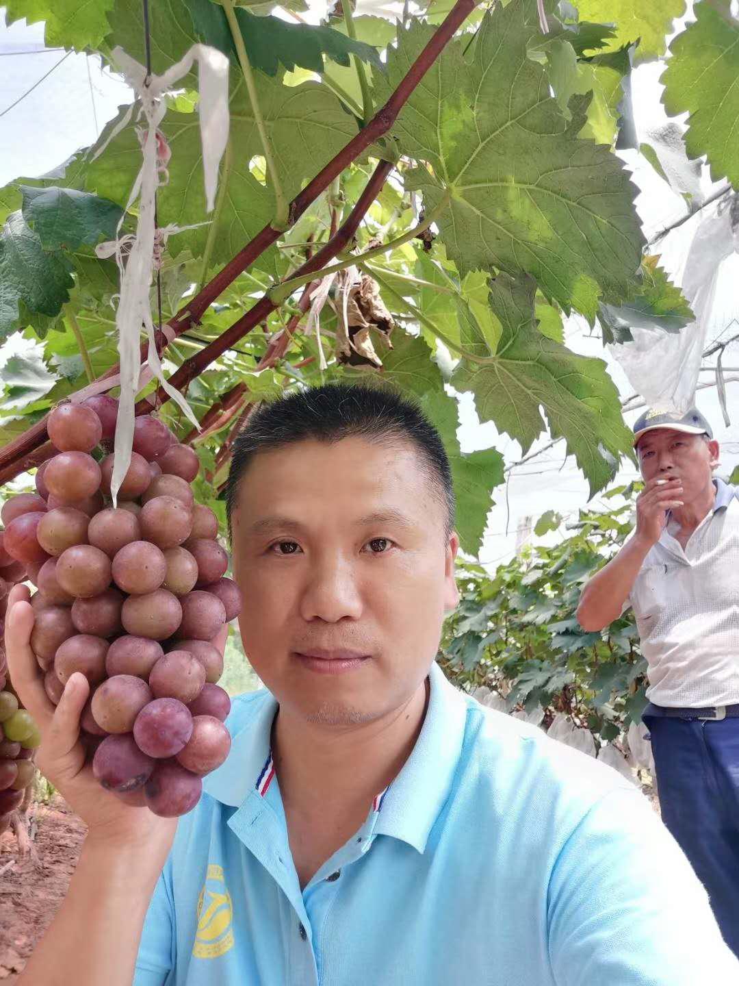 图片1.jpg
